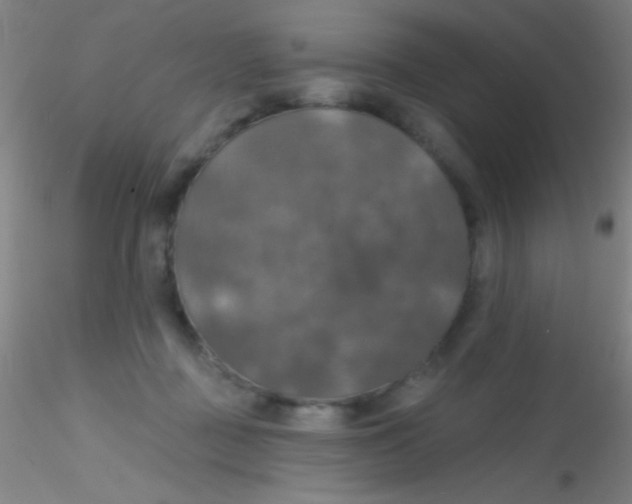 X0000115200363200911251449