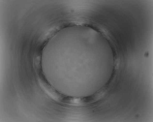 X0000115200365200911251449