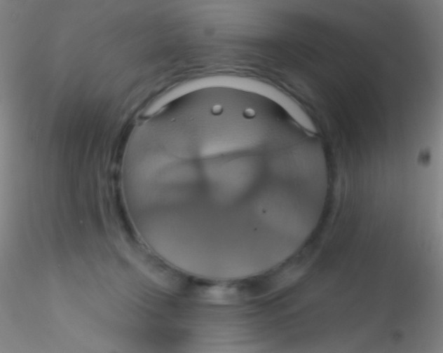 X0000115200366200911251449