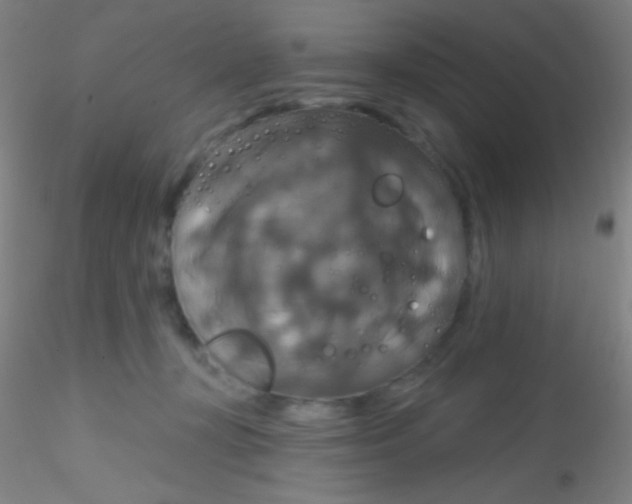 X0000115200367200911251449