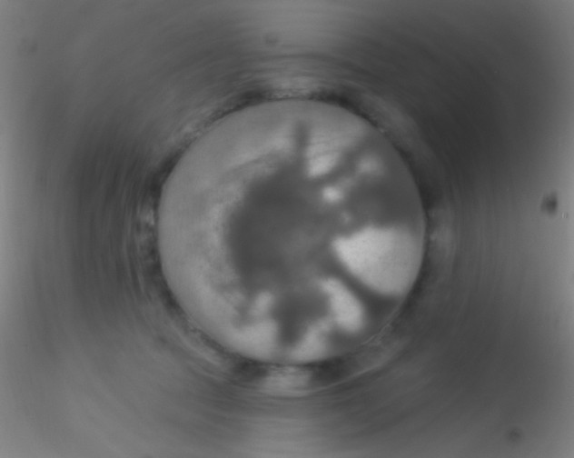 X0000115200369200911251449