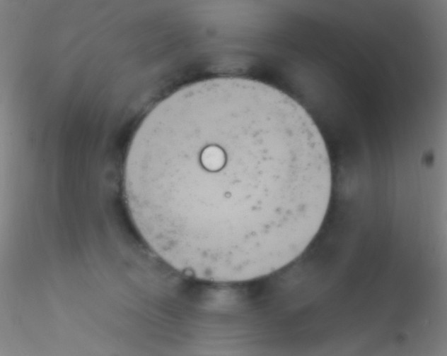 X0000115200370200911251449