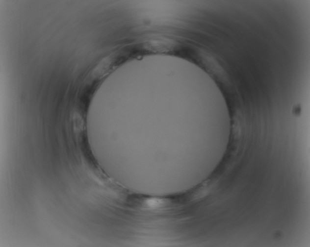 X0000115200371200911251449