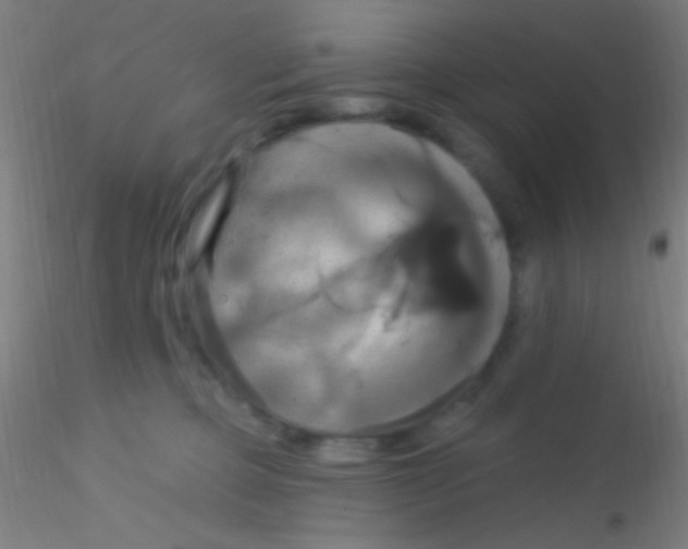 X0000115200373200911251449