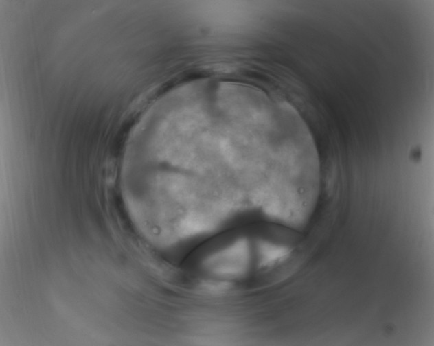 X0000115200374200911251449