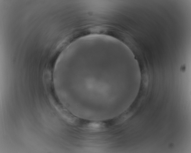 X0000115200375200911251449