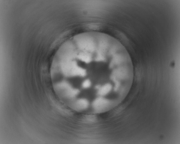 X0000115200377200911251449