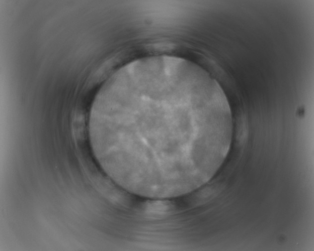 X0000115200378200911251449