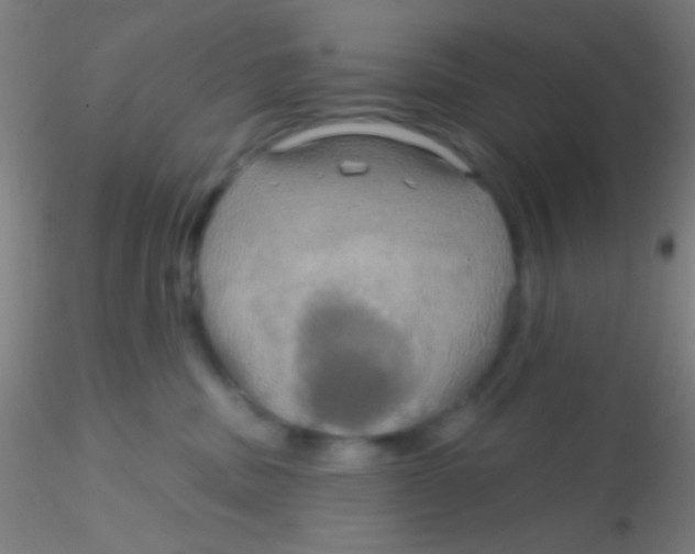 X0000115200379200911251449