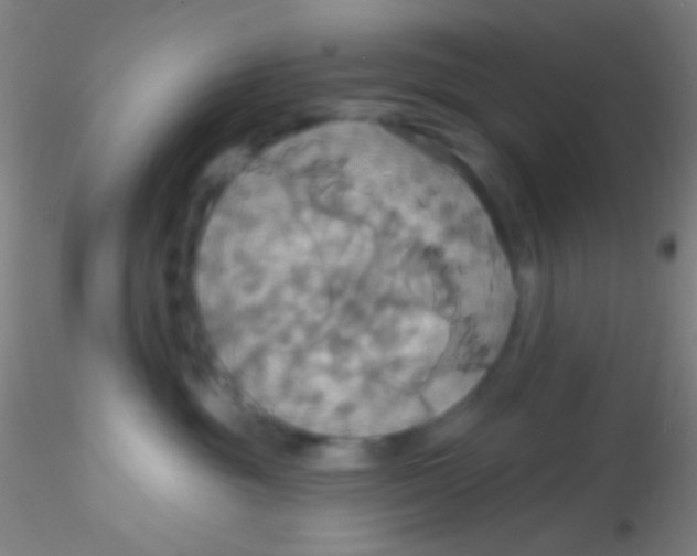 X0000115200381200911251449