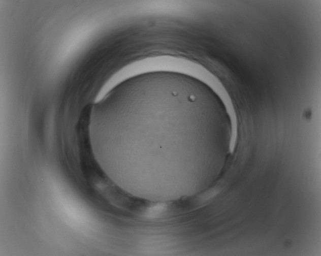 X0000115200382200911251449