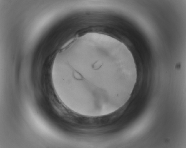 X0000115200383200911251449