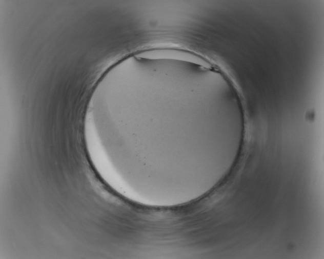 X0000115200385200911251448