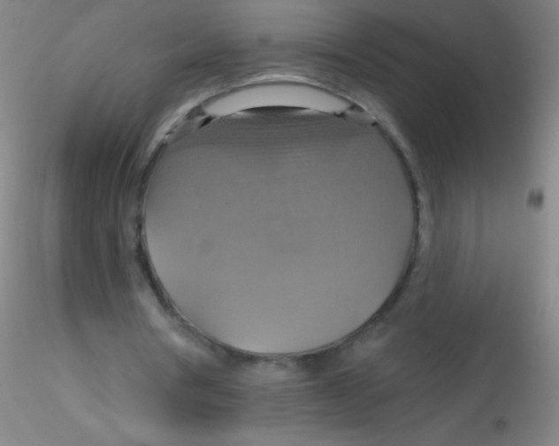 X0000115200386200911251448