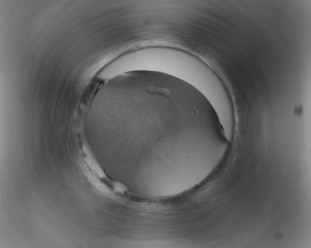 X0000115200389200911251448
