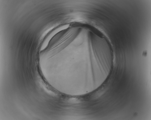X0000115200390200911251448