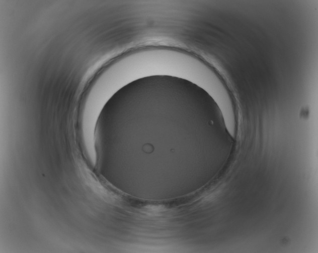 X0000115200391200911251448