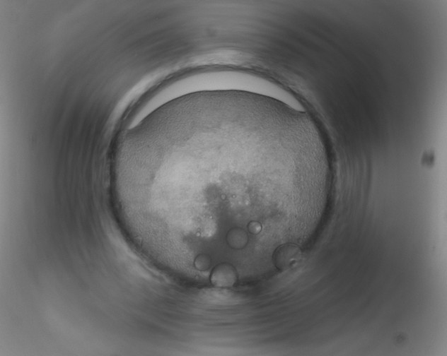 X0000115200392200911251448