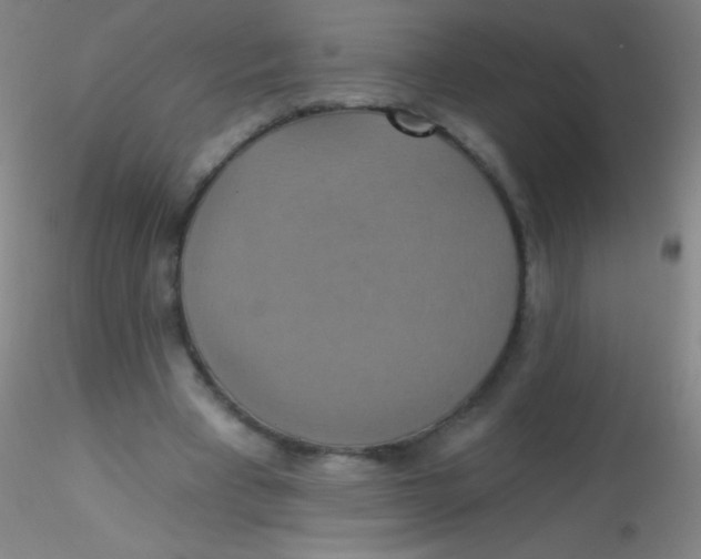 X0000115200393200911251448