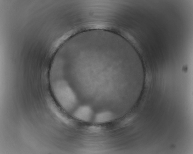 X0000115200394200911251448