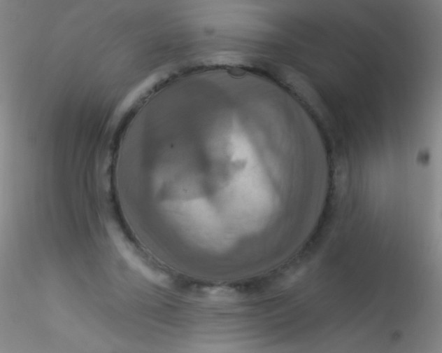 X0000115200395200911251448