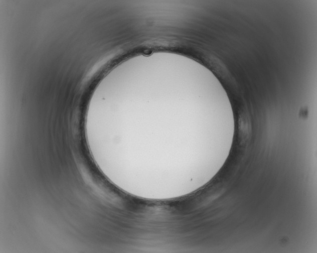 X0000115200396200911251448