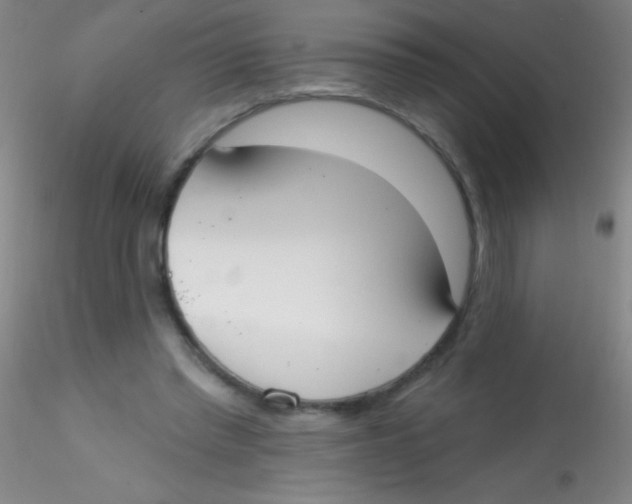 X0000115200397200911251448