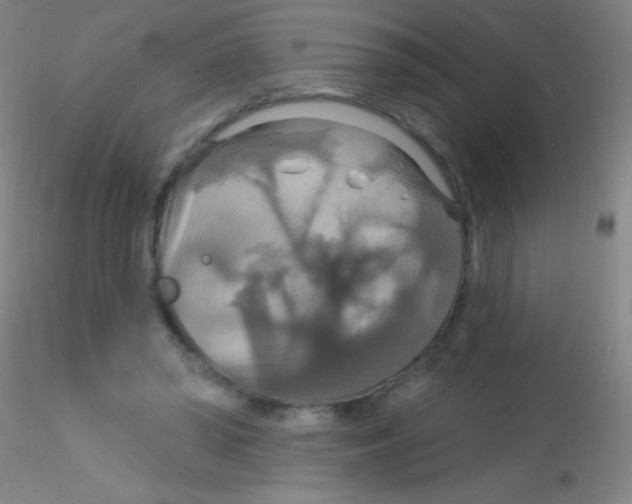 X0000115200398200911251448