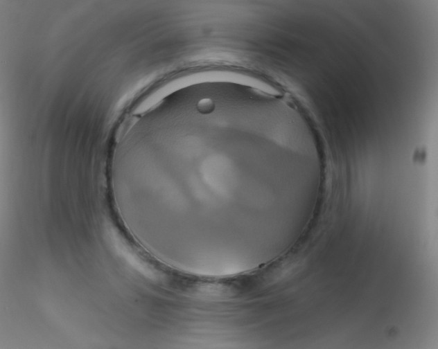 X0000115200399200911251448