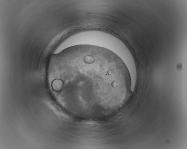 X0000115200400200911251448