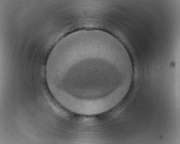 X0000115200401200911251448
