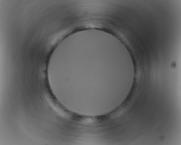 X0000115200402200911251448
