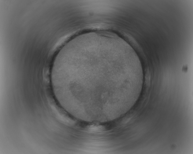X0000115200403200911251448