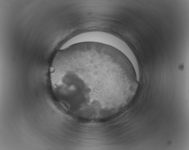 X0000115200404200911251448