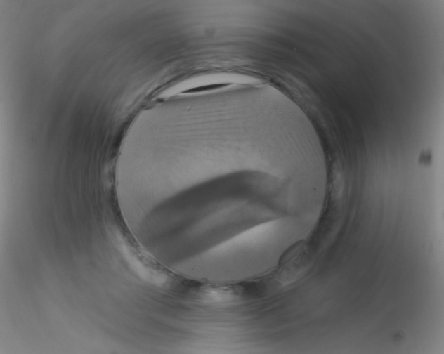 X0000115200405200911251448