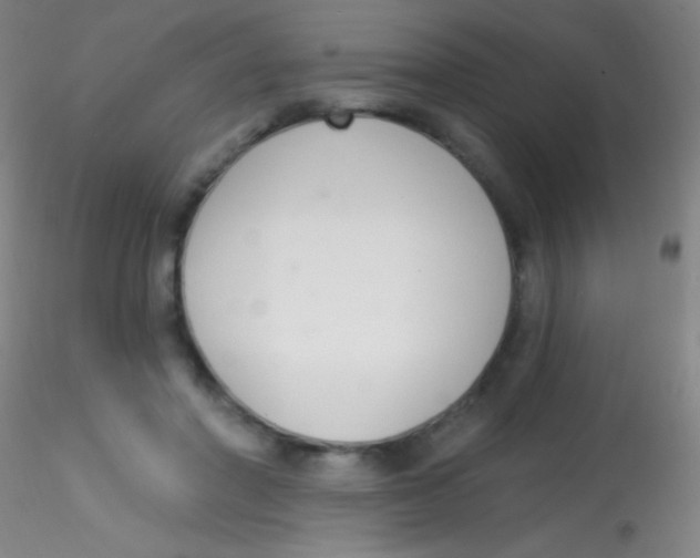X0000115200406200911251448
