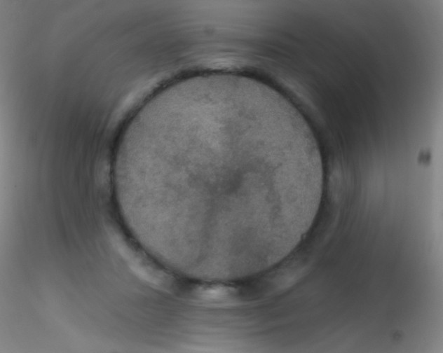 X0000115200407200911251448