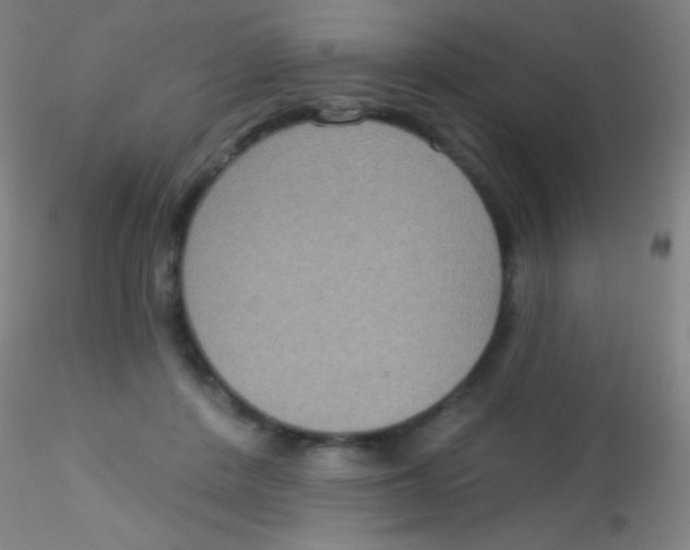 X0000115200408200911251448