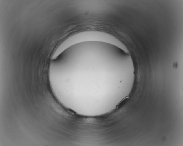 X0000115200409200911251448