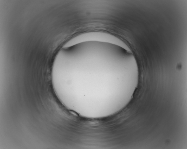 X0000115200411200911251448