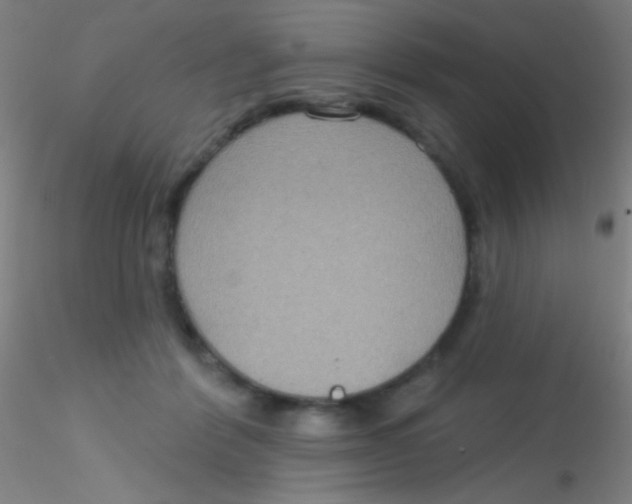 X0000115200412200911251448