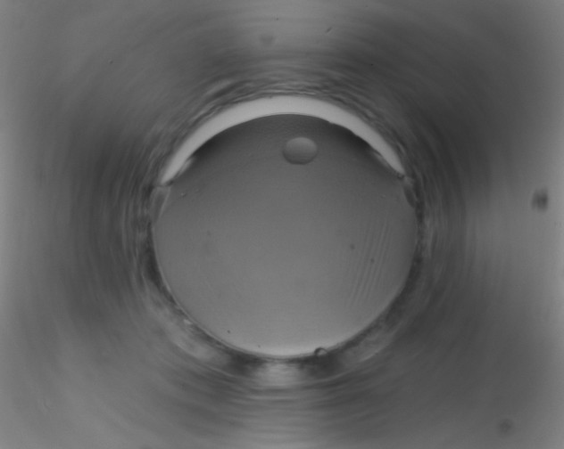X0000115200413200911251448