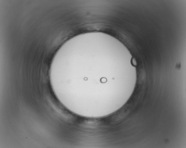 X0000115200414200911251448
