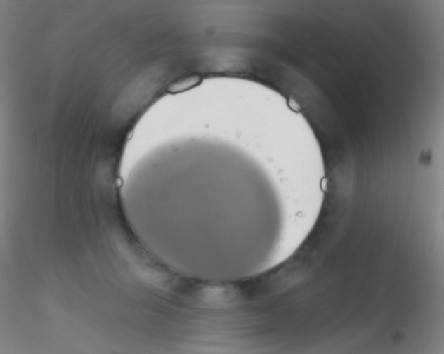 X0000115200415200911251448