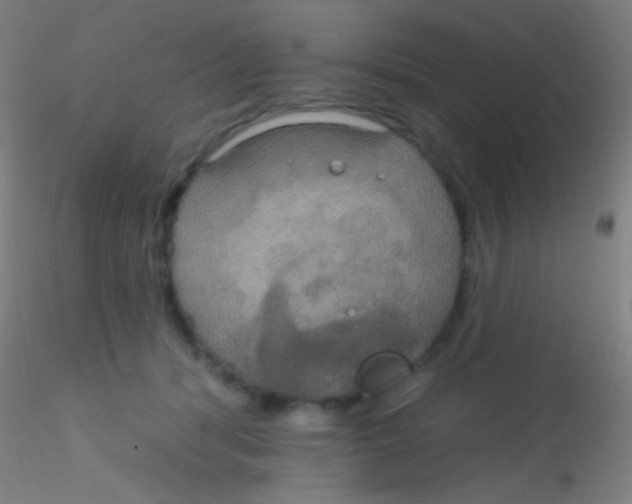 X0000115200416200911251448