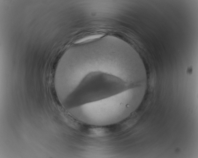 X0000115200417200911251448