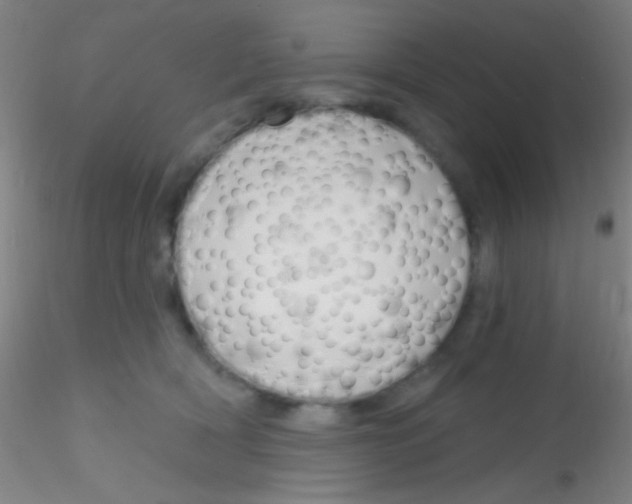 X0000115200418200911251448