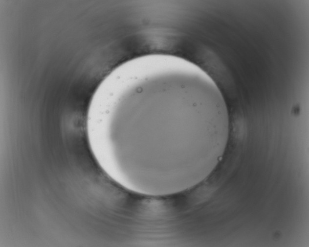 X0000115200419200911251448