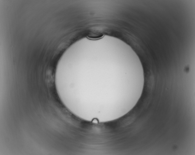 X0000115200420200911251448