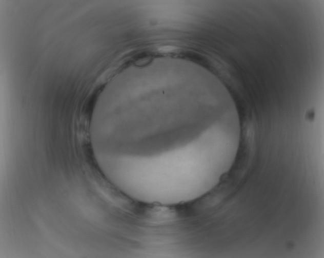 X0000115200421200911251448
